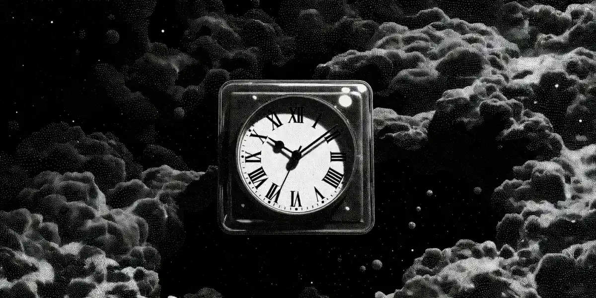 What is a perpetual license?